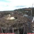 12_25-nest.jpg