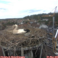 12_30-nest.jpg