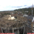 12_45-nest.jpg