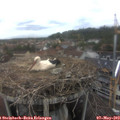 13_10-nest.jpg