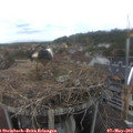 13_15-nest.jpg