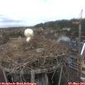 13_25-nest.jpg