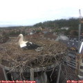 13_40-nest.jpg
