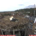 14_00-nest.jpg