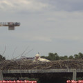 14_05-mast.jpg