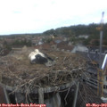 14_10-nest.jpg
