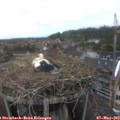 14_15-nest.jpg