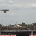 14_25-mast.jpg