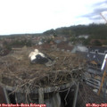 14_25-nest.jpg