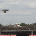 14_30-mast.jpg