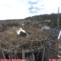 14_35-nest.jpg