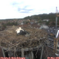 14_40-nest.jpg