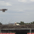 14_45-mast.jpg