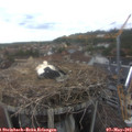 14_45-nest.jpg