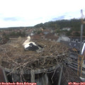 14_55-nest.jpg