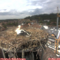 15_00-nest.jpg