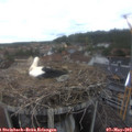 15_45-nest.jpg