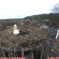 16_00-nest.jpg
