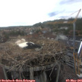 16_10-nest.jpg