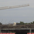 16_35-mast.jpg