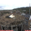 16_45-nest.jpg