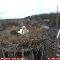16_55-nest.jpg