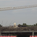 17_15-mast.jpg