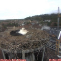 17_15-nest.jpg