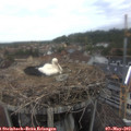 17_40-nest.jpg