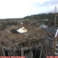 17_45-nest.jpg