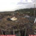 17_55-nest.jpg