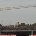 18_10-mast.jpg