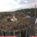 18_10-nest.jpg