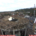 18_30-nest.jpg