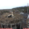 18_45-nest.jpg