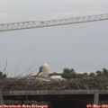 19_35-mast.jpg