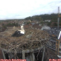 19_35-nest.jpg