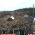 19_40-nest.jpg