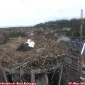 19_45-nest.jpg