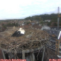 19_50-nest.jpg