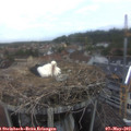 20_00-nest.jpg