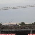 20_05-mast.jpg