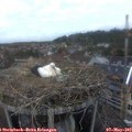 20_05-nest.jpg
