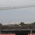 20_10-mast.jpg