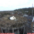 20_15-nest.jpg