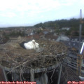 20_20-nest.jpg
