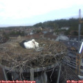 20_30-nest.jpg