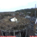 20_35-nest.jpg