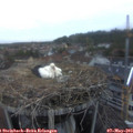 20_40-nest.jpg