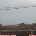 05_50-mast.jpg